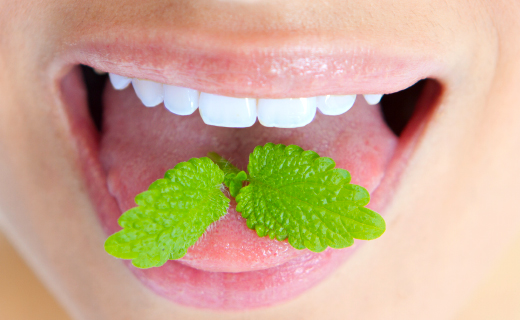 dca-blog_article-02_beat-bad-breath